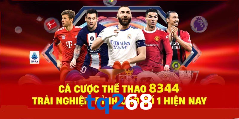 Đá Gà Philippines – Tinh Hoa Truyền Thống Và Thể Thao 